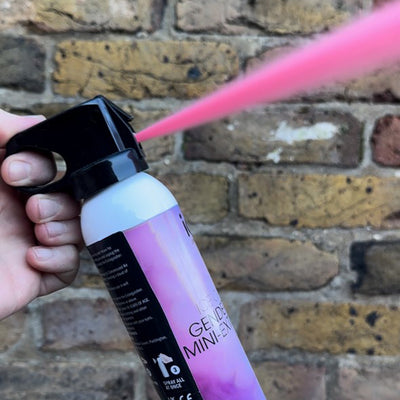 Pink/Girl Gender Reveal Mini-Extinguisher