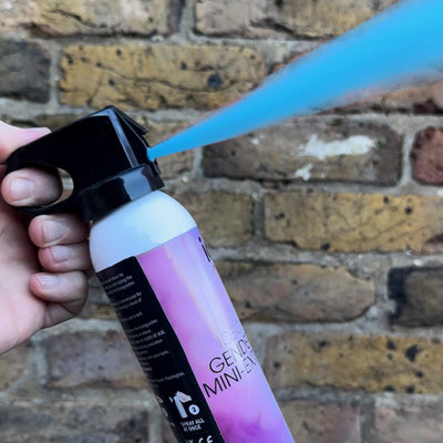 Blue/Boy Gender Reveal Mini-Extinguisher